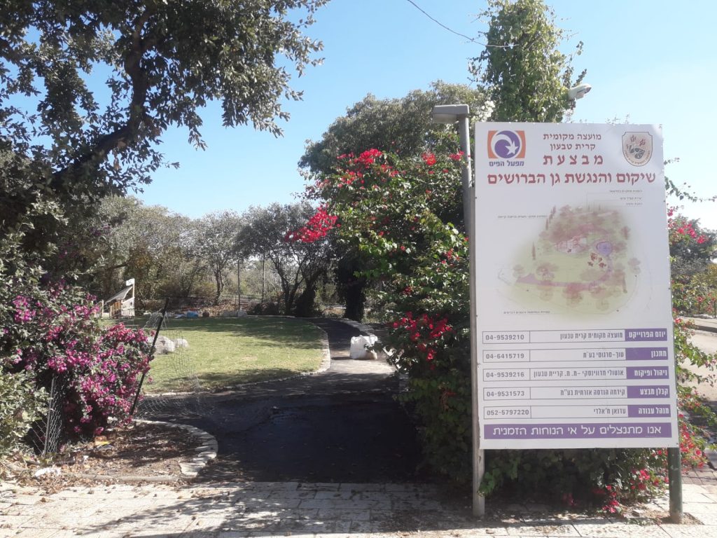 גן הברושים בקרית טבעון
