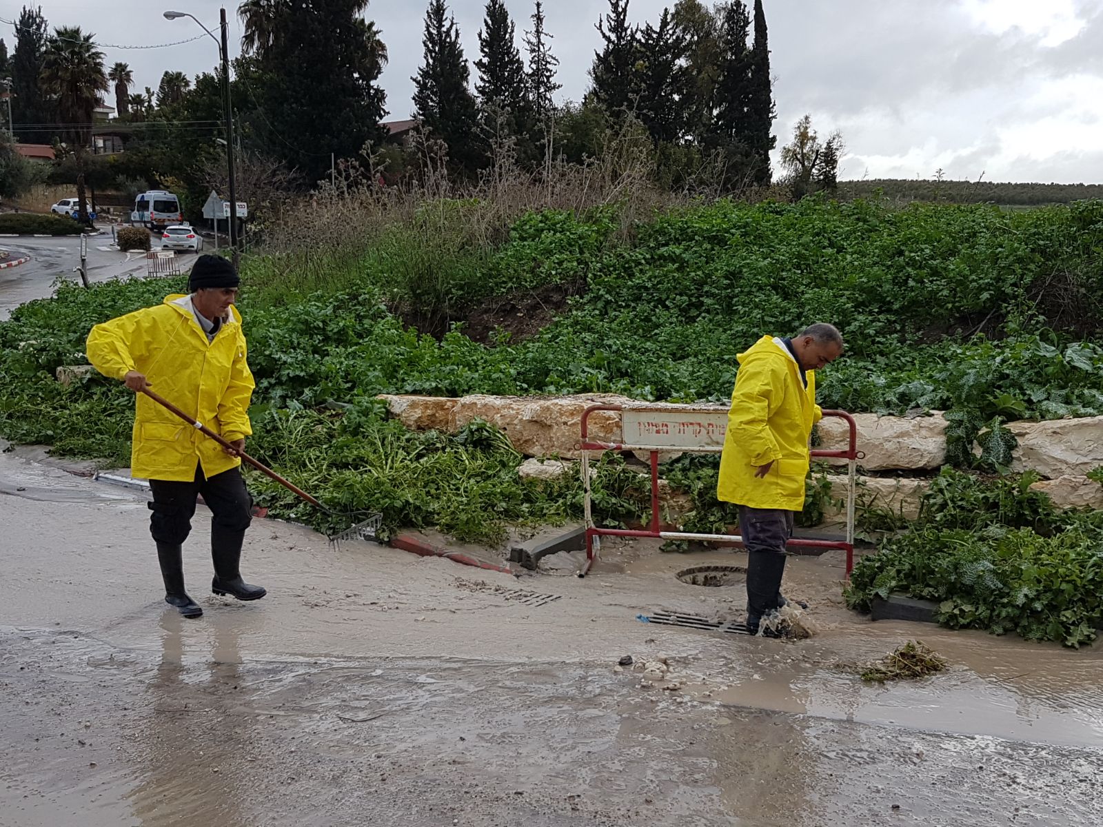 התמודדות מוצלחת של עובדי המועצה המקומית קרית טבעון עם פגעי מזג האוויר הסוער