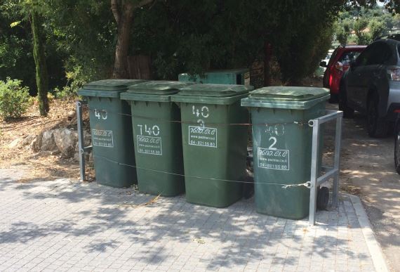 מתמודדים עם חזירי הבר בקרית טבעון
