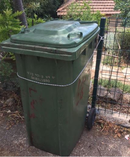 מתמודדים עם חזירי הבר בקרית טבעון