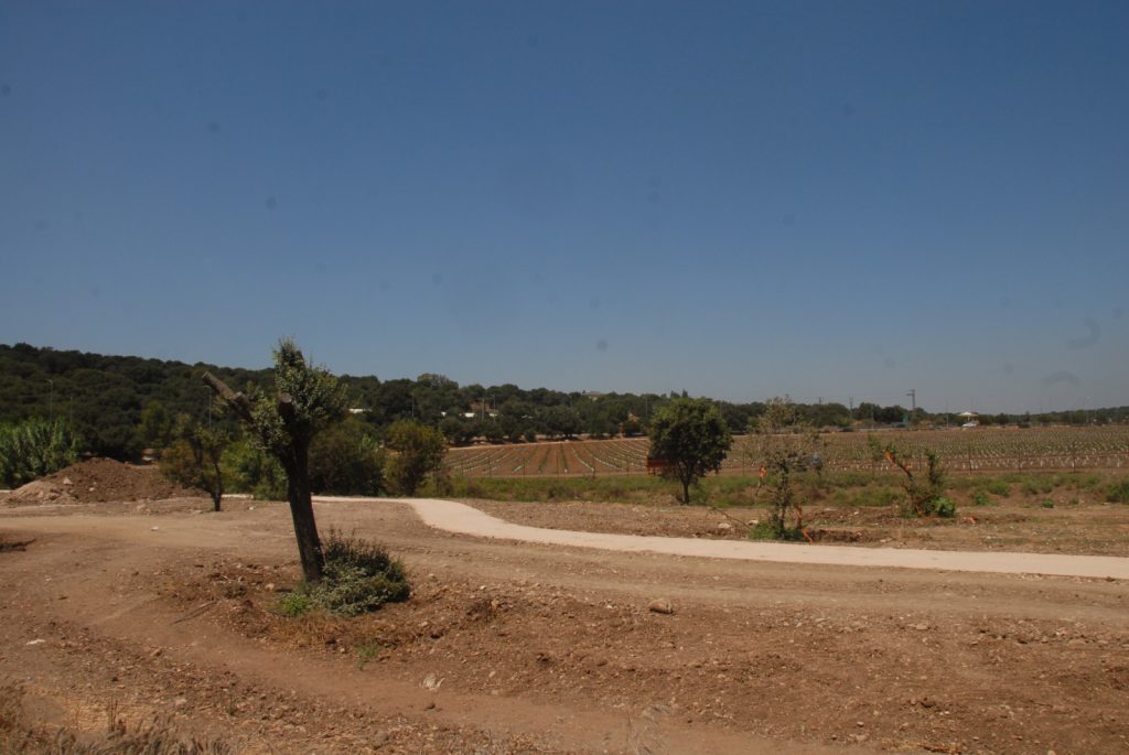 קק"ל החלה לסלול מקטע נוסף בטיילת נחל ציפורי
