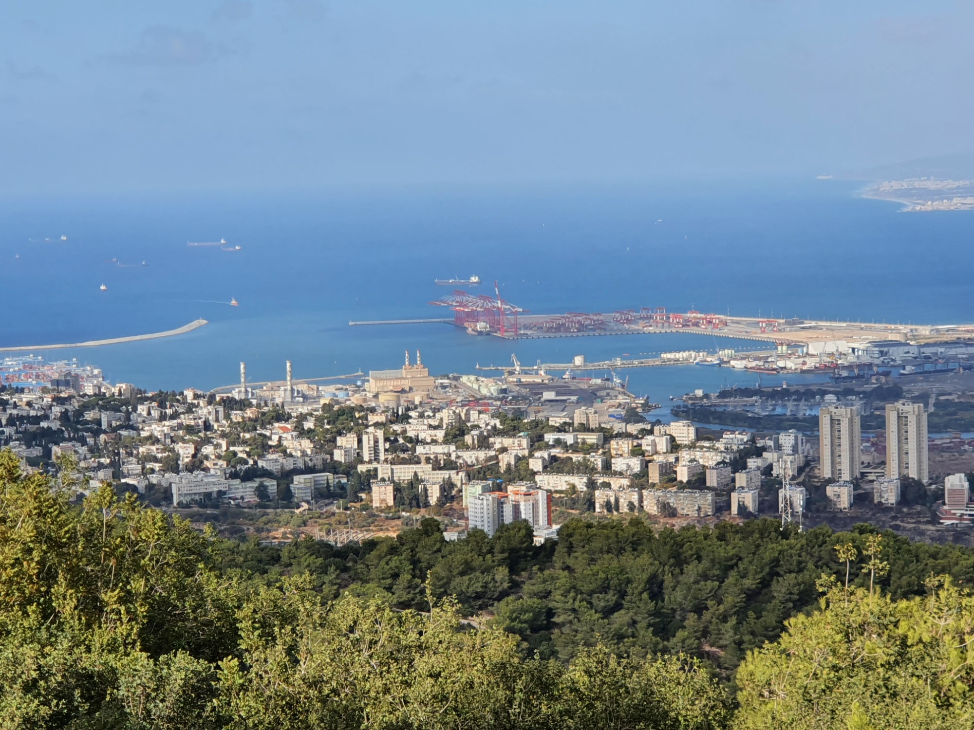 היכן לקנות דירה בחיפה